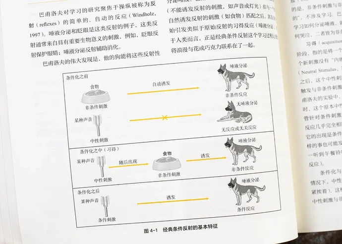 津巴多普通心理学（第8版）：豆瓣9.3，比小说还好看的心理学入门经典