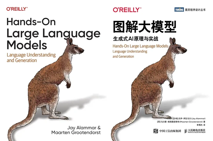 袋鼠书封面 (1).png