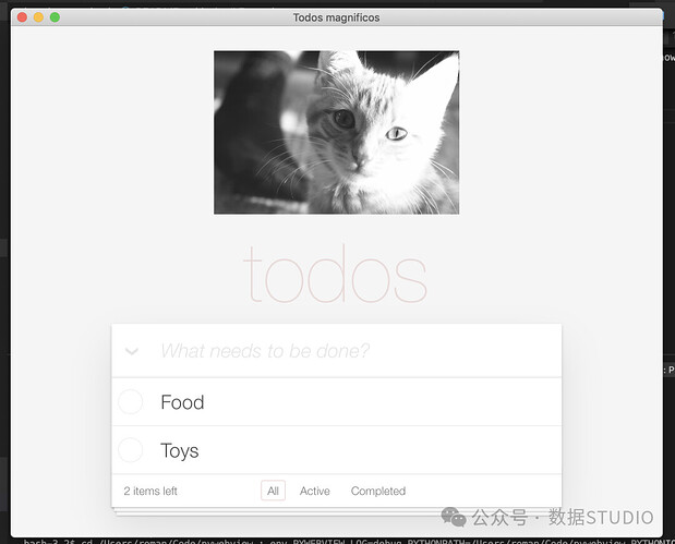 macOS